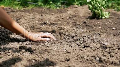 手抓包，慢动作测试土壤